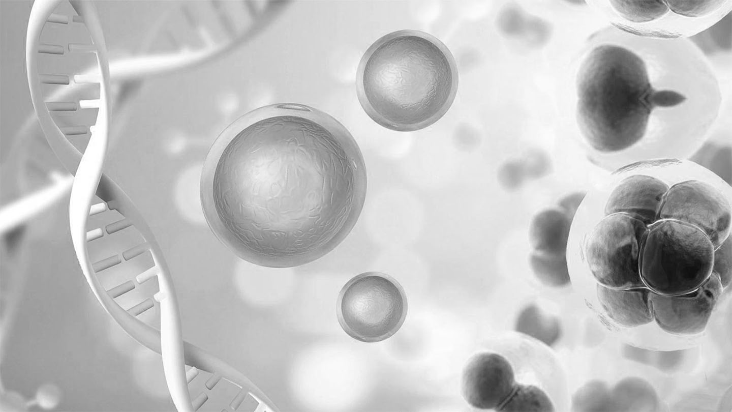 Devoted to Biomedicine