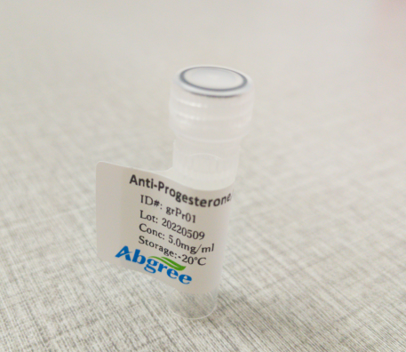 Prog antibody
