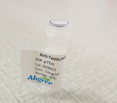 Testosterone Antibody