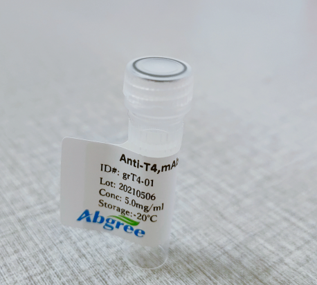 甲状腺T4抗体