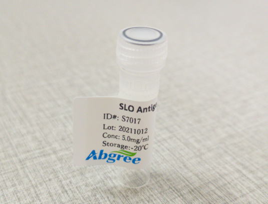 链球菌溶血素O(SLO)蛋白